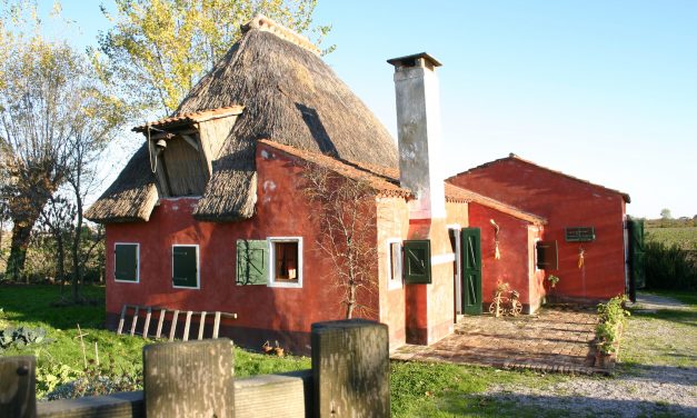 Piove di Sacco – Giornata conclusiva de "I Casoni animati"