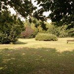 Un albero per ogni nato a Correzzola