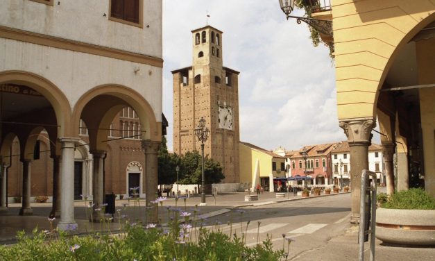 Piove di Sacco – Avviso esplorativo per la manifestazione di interesse per affidamento della gestione dei servizi bibliotecari connessi al funzionamento del Bacino Bibliografico della Saccisica e del Conselvano (Bacino) per la durata di tre anni