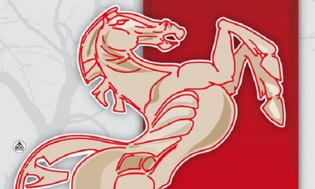 Legnaro – Festa del Cavallo 2014