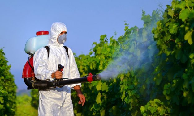 Problemi di Disinfestazione?