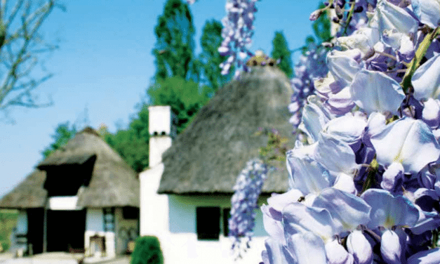 Piove di Sacco – Notiziario dell'Amministrazione comunale 07/2014