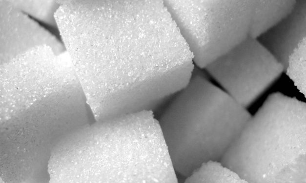 Pontelongo – Inizia la Campagna dello Zuccherificio