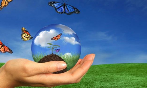 Festival Biblico: a Padova il Festival è “Parola che nutre”