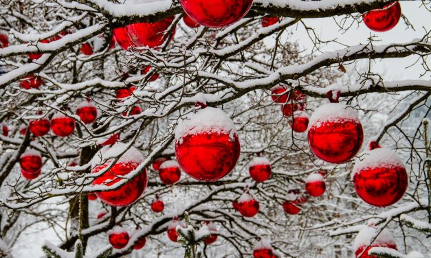 S.Angelo di Piove di Sacco  – Un Natale in solidariet&agrave;