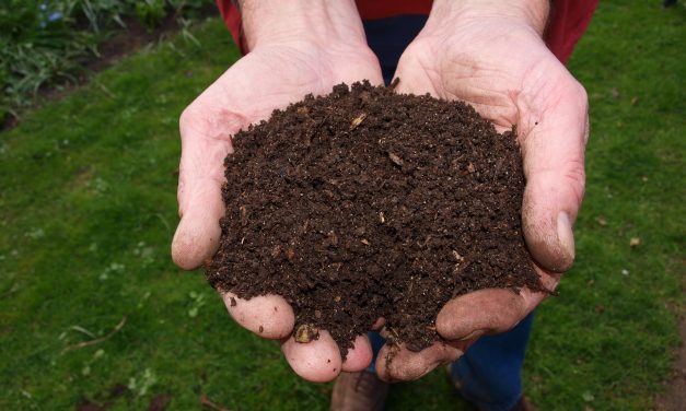 Bovolenta – DISPONIBILITA’ COMPOST PRESSO L’ ECOCENTRO DI BOVOLENTA